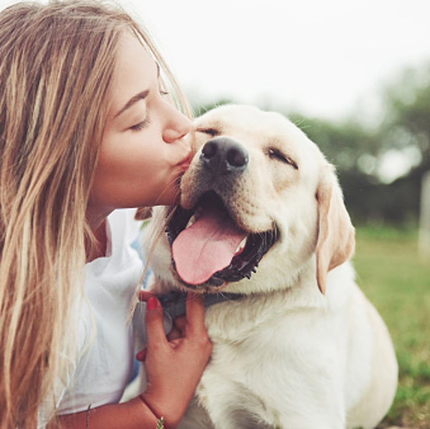Girl with her dog Girl with a dog in a park on green grass